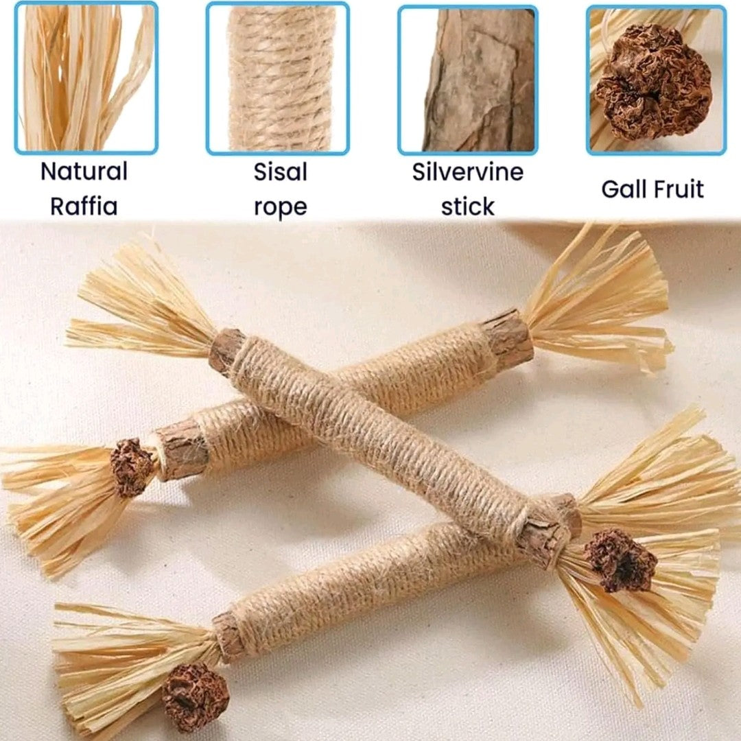EVERBETTERUS Silvervine Catnip Chew Toys – 12PCS Dental Sticks for Indoor Cats & Kittens – Interactive Teething Toys for Aggressive Chewers