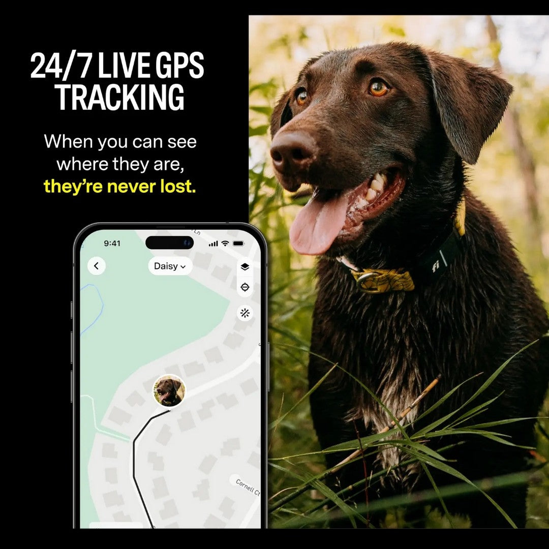 Fi Series 3 Smart pet Collar – GPS Tracker, Health Monitor & LED Light