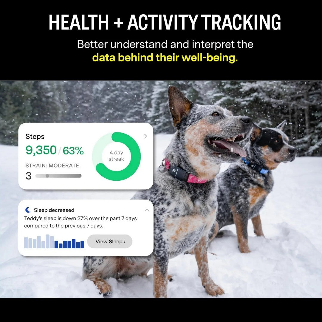 Fi Series 3 Smart pet Collar – GPS Tracker, Health Monitor & LED Light