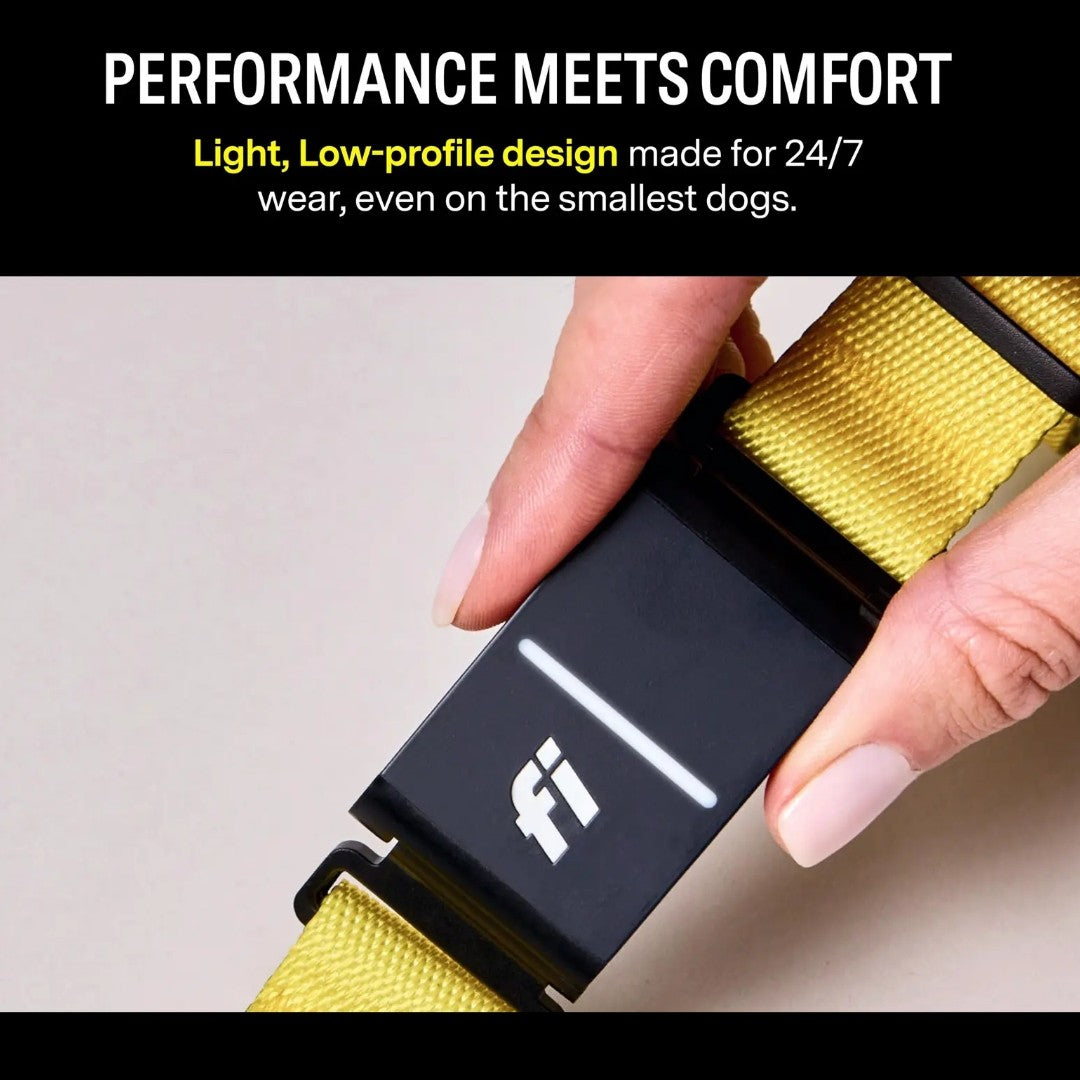 Fi Series 3 Smart pet Collar – GPS Tracker, Health Monitor & LED Light