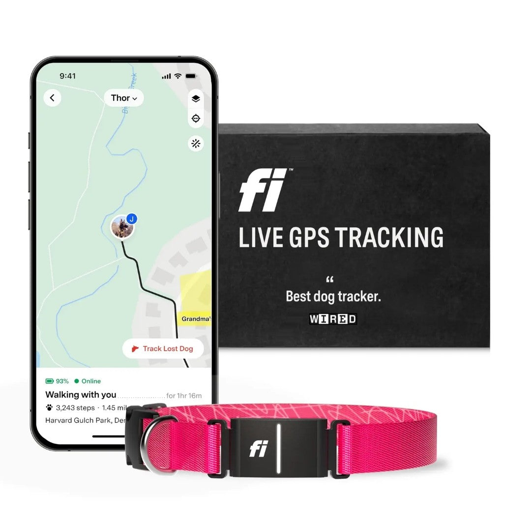 Fi Series 3 Smart pet Collar – GPS Tracker, Health Monitor & LED Light