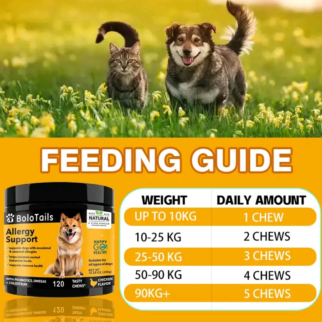 Chicken-Flavored Soft Chews with Omega 3 & Probiotics – Anti-Itch & Digestive Support for All Dogs – 120 Count