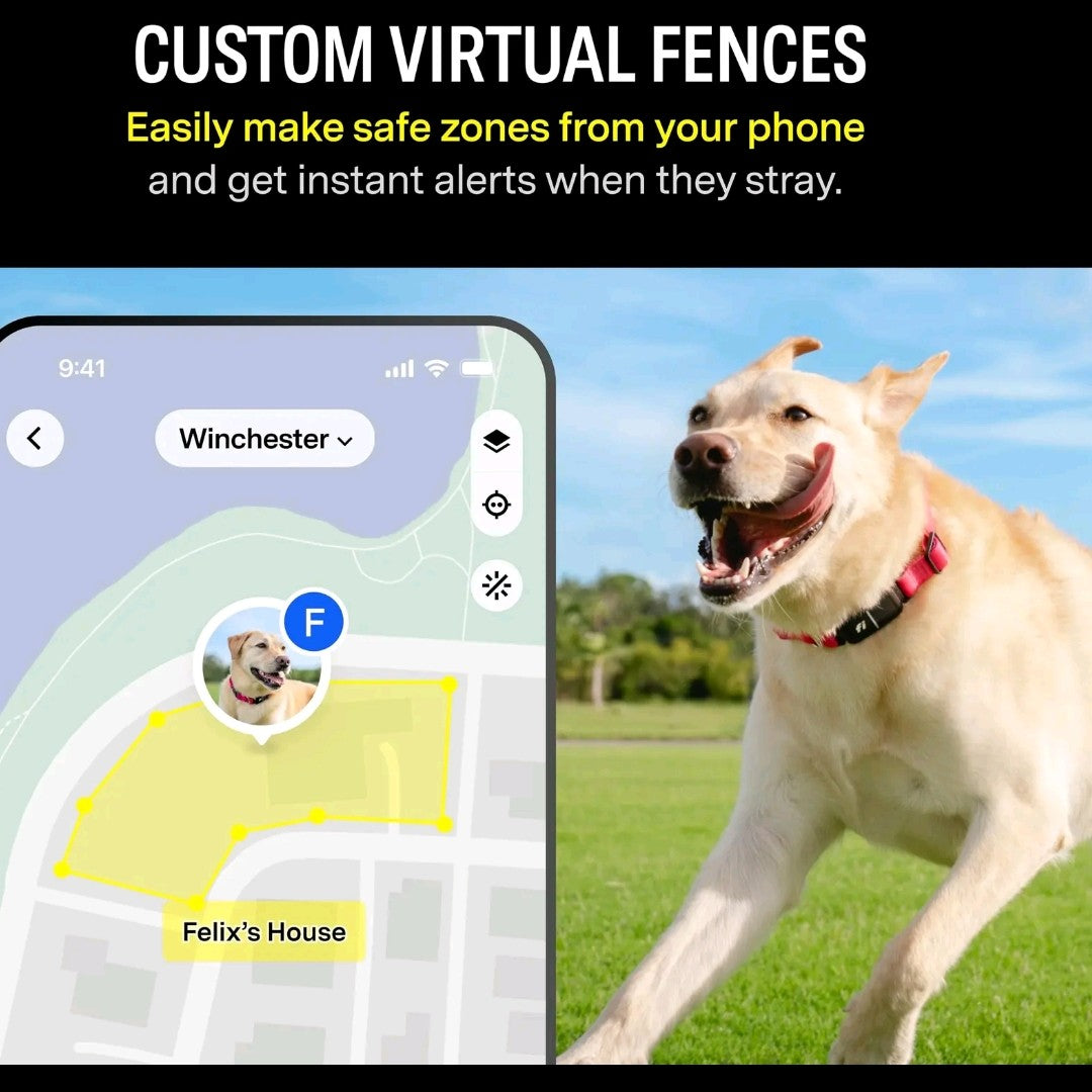 Fi Series 3 Smart pet Collar – GPS Tracker, Health Monitor & LED Light