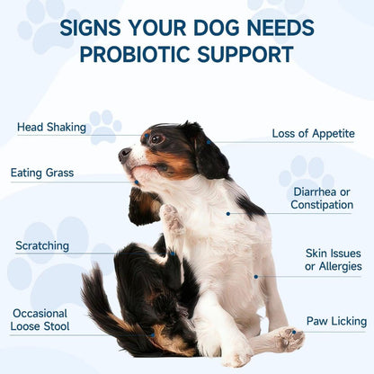 Woyamay Dog Probiotic Soft Chews – 200 Ct | Gut Health Support, Itchy Skin Relief, Immunity & Appetite Booster