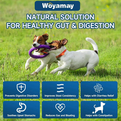 Woyamay Dog Probiotic Soft Chews – 200 Ct | Gut Health Support, Itchy Skin Relief, Immunity & Appetite Booster