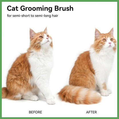 Springtok Pet Hair Removal Comb – 2-in-1 Spray & Shedding Brush for Dogs & Cats | Self-Cleaning Grooming & Massage Tool