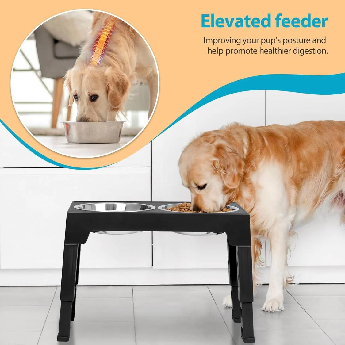 Adjustable Elevated Dog Bowl Stand – 5 Heights | Includes 2 Stainless Steel Bowls + 1 Slow Feeder | Non-Tip Design for Small, Medium & Large Dogs