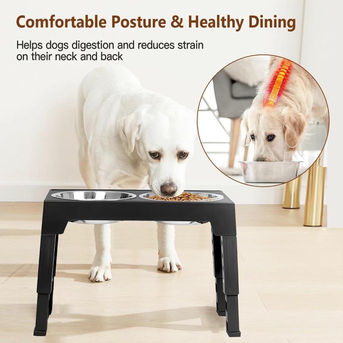 Adjustable Elevated Dog Bowl Stand – 5 Heights | Includes 2 Stainless Steel Bowls + 1 Slow Feeder | Non-Tip Design for Small, Medium & Large Dogs