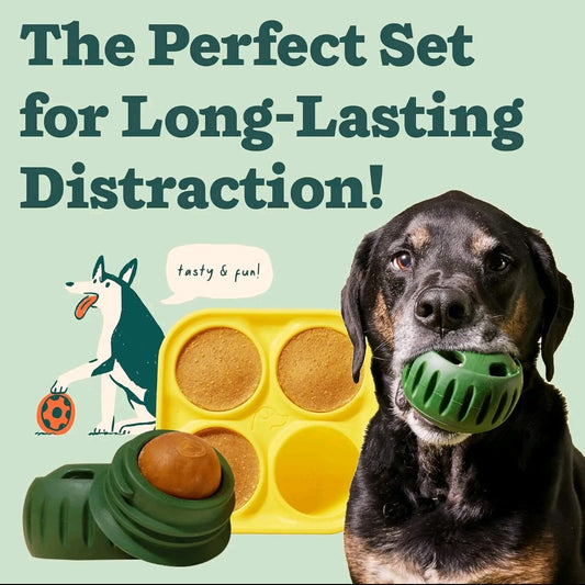 The Pupsicle – Interactive Treat Toy for Dogs