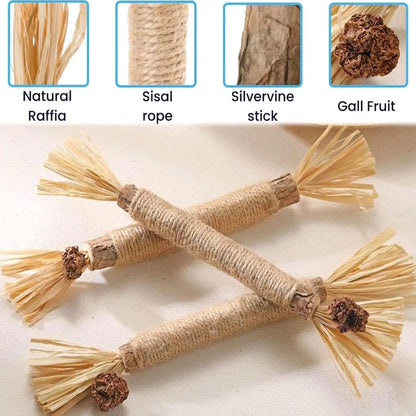 EVERBETTERUS Silvervine Catnip Chew Toys – 12PCS Dental Sticks for Indoor Cats & Kittens – Interactive Teething Toys for Aggressive Chewers