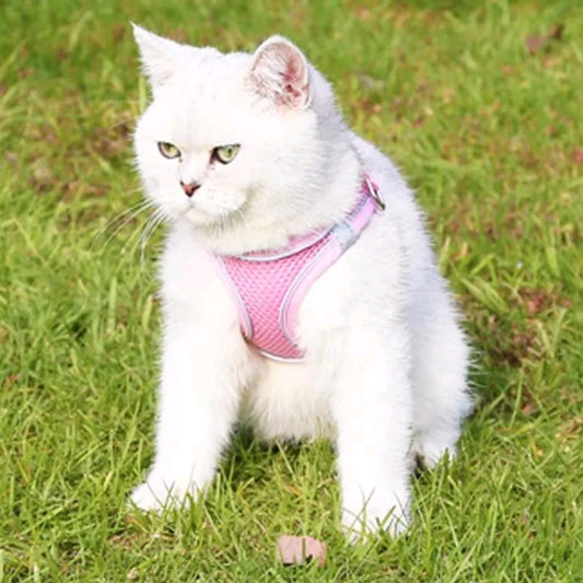 No-Pull Dog/Cat Harness & Leash Set – Step-In Mesh Harness for Small & Medium Dogs/Cat , Easy Control Puppy Vest