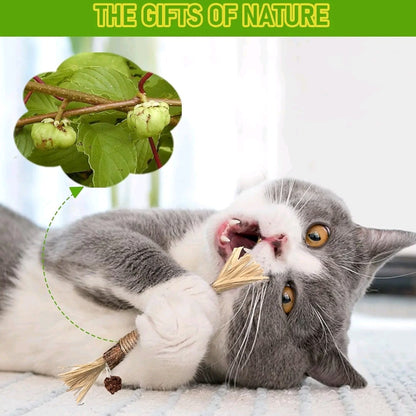EVERBETTERUS Silvervine Catnip Chew Toys – 12PCS Dental Sticks for Indoor Cats & Kittens – Interactive Teething Toys for Aggressive Chewers