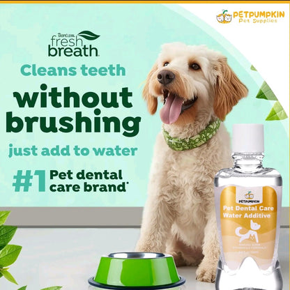 Dental Fresh Advanced Water Additive – 8.8oz Plaque & Tartar Remover for Dogs, Fresh Breath & Oral Health Support