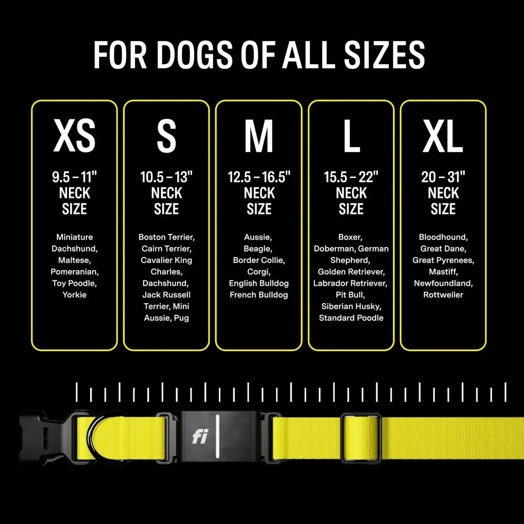 Fi Series 3 Smart pet Collar – GPS Tracker, Health Monitor & LED Light