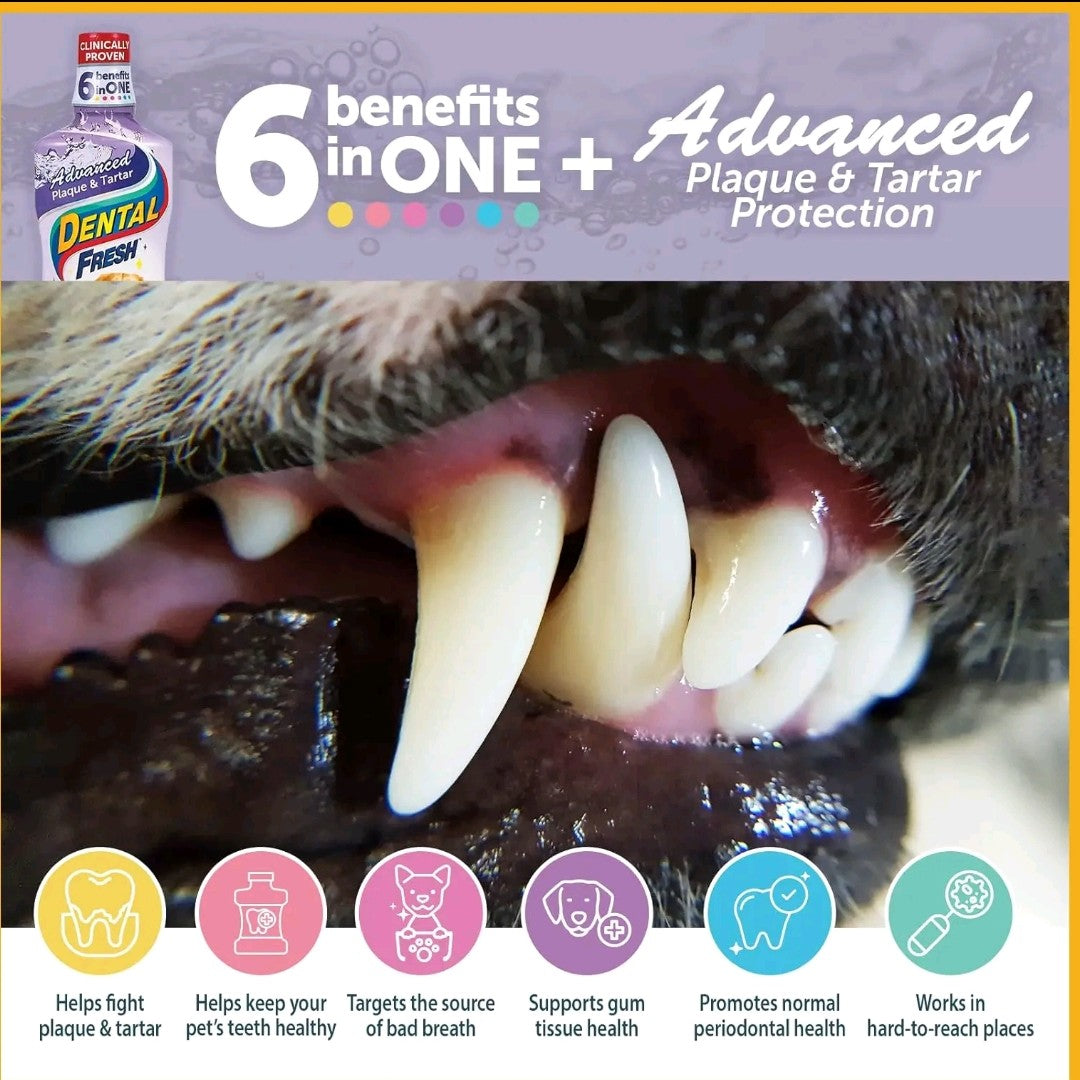 Dental Fresh Advanced Water Additive – 8.8oz Plaque & Tartar Remover for Dogs, Fresh Breath & Oral Health Support