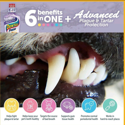 Dental Fresh Advanced Water Additive – 8.8oz Plaque & Tartar Remover for Dogs, Fresh Breath & Oral Health Support
