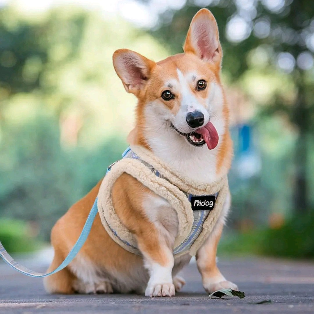 Striped Adjustable Dog Harness & Leash Set – Soft Plush Chest Strap for Dogs & Cats, Cozy Outdoor Pet Harness, Christmas Gift