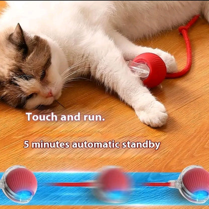 Interactive Rolling Ball Toy for Cats & Dogs – Teaser Toy with 2 Attachments, Washable & Fun Pet Accessory