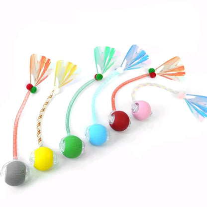 Interactive Rolling Ball Toy for Cats & Dogs – Teaser Toy with 2 Attachments, Washable & Fun Pet Accessory