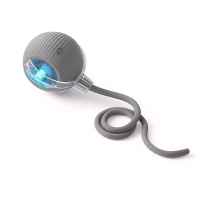 Interactive Rolling Ball Toy for Cats & Dogs – Teaser Toy with 2 Attachments, Washable & Fun Pet Accessory