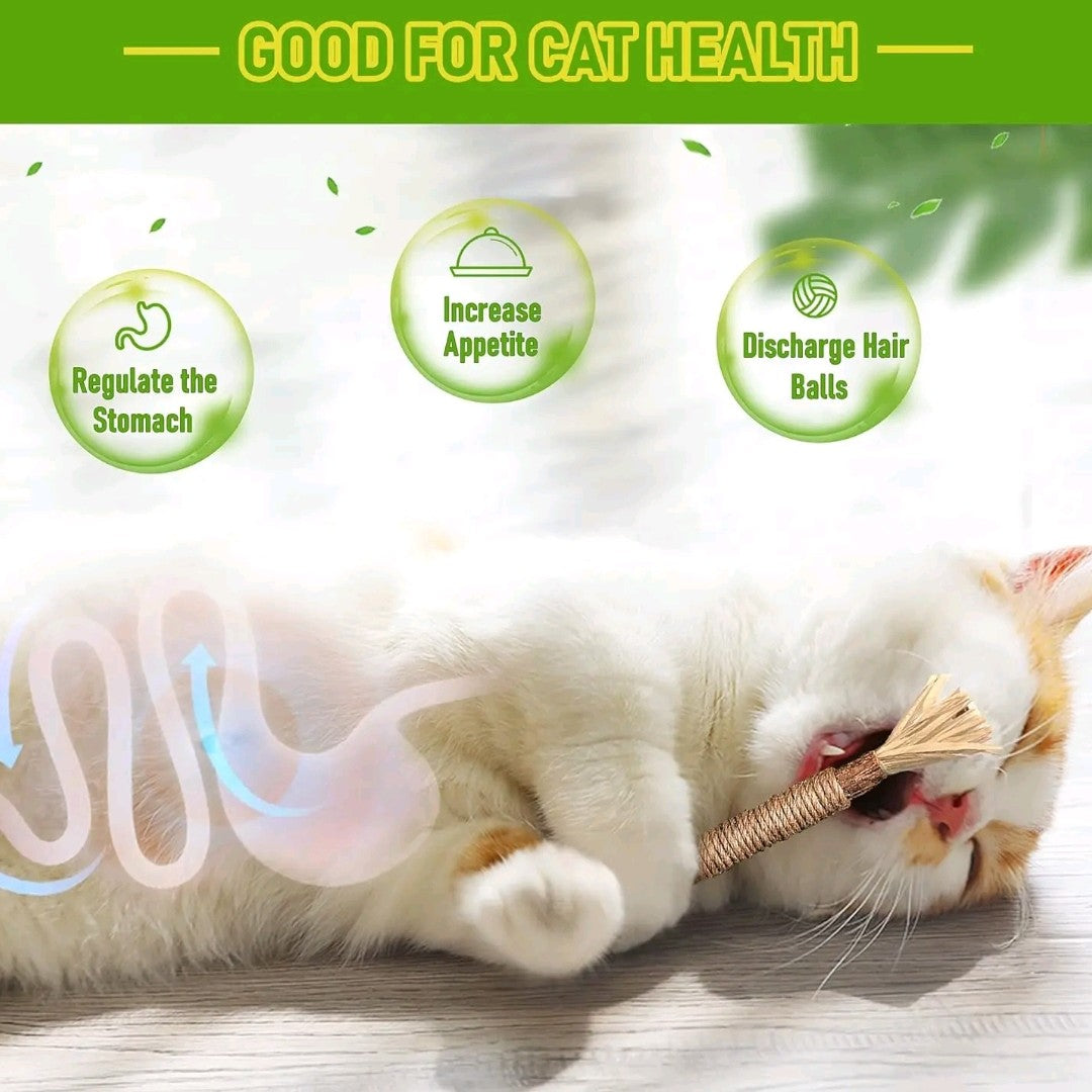 EVERBETTERUS Silvervine Catnip Chew Toys – 12PCS Dental Sticks for Indoor Cats & Kittens – Interactive Teething Toys for Aggressive Chewers