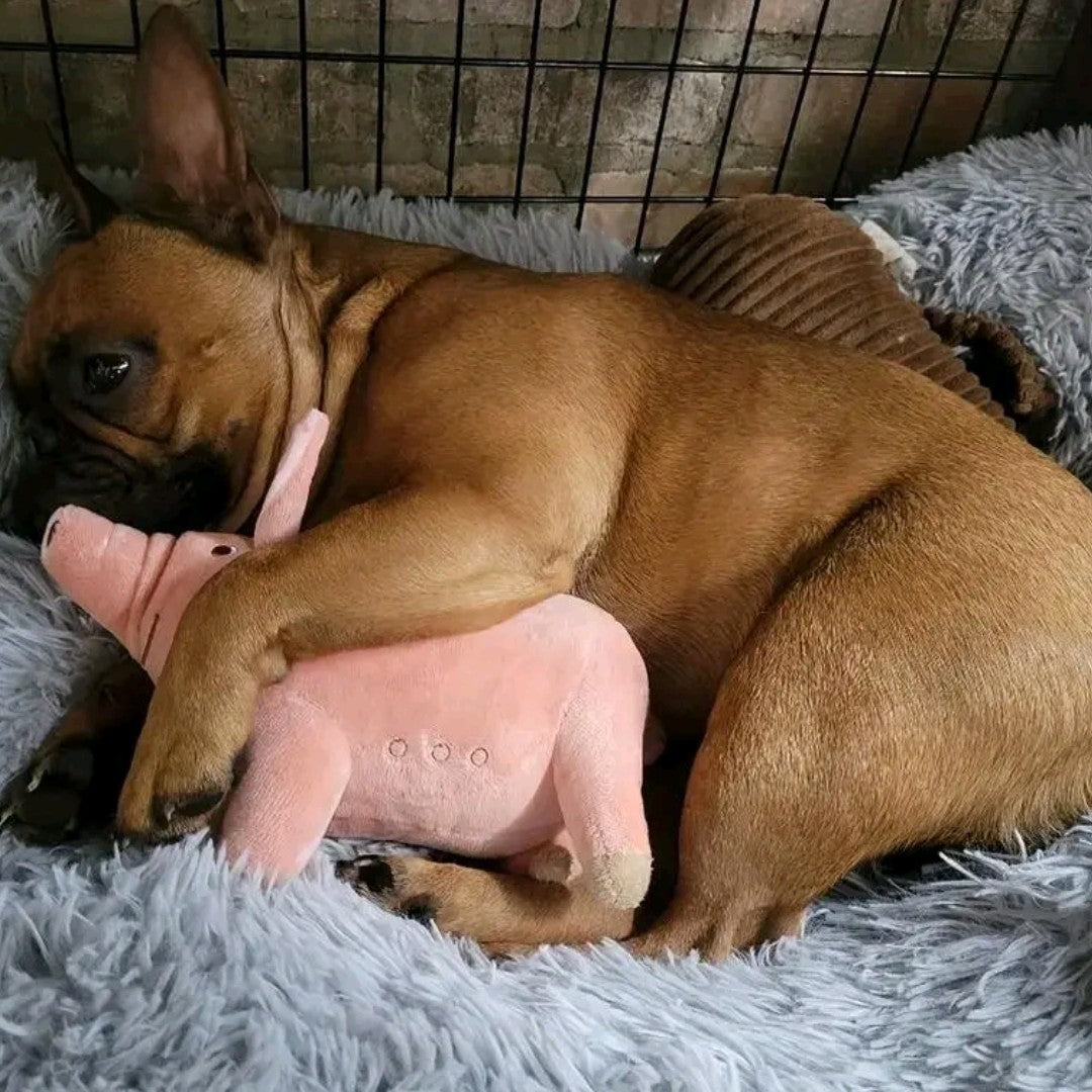 Cute Pig Plush Pet Toy – Bite-Resistant Interactive Chew Toy for Dogs & Cats, Soft Squeaky Animal Toy for Small to Medium Pets