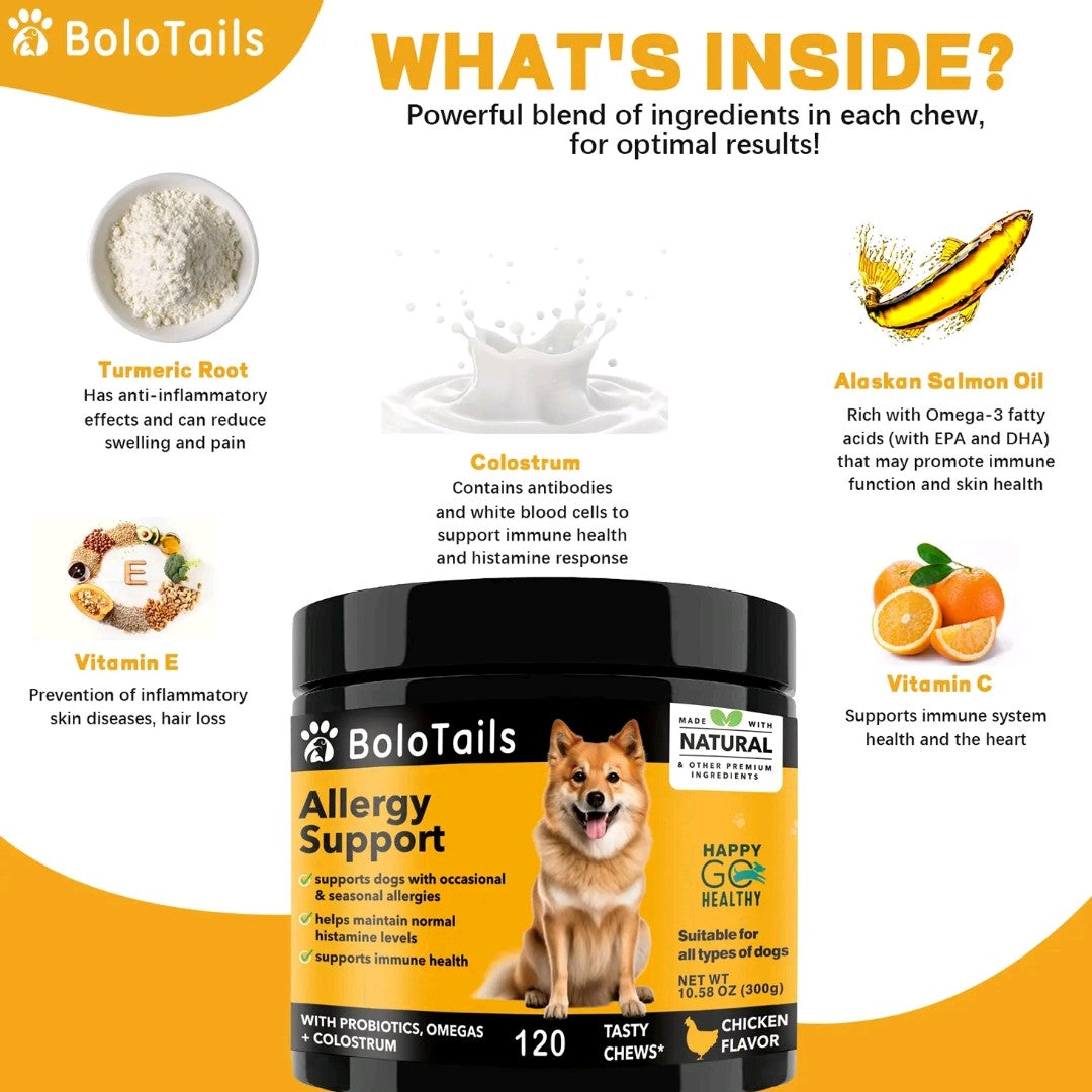 Chicken-Flavored Soft Chews with Omega 3 & Probiotics – Anti-Itch & Digestive Support for All Dogs – 120 Count