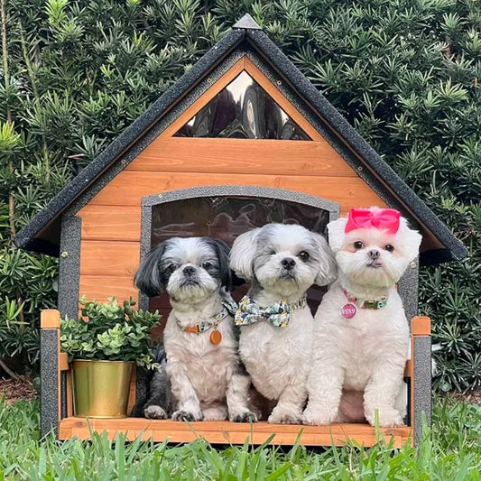 Aivituvin AIR80/AIR81 Outdoor Dog House with Porch – Weatherproof Wooden Kennel with Strong Iron Frame & Elevated Design