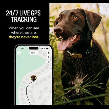 Fi Series 3 Smart pet Collar – GPS Tracker, Health Monitor & LED Light