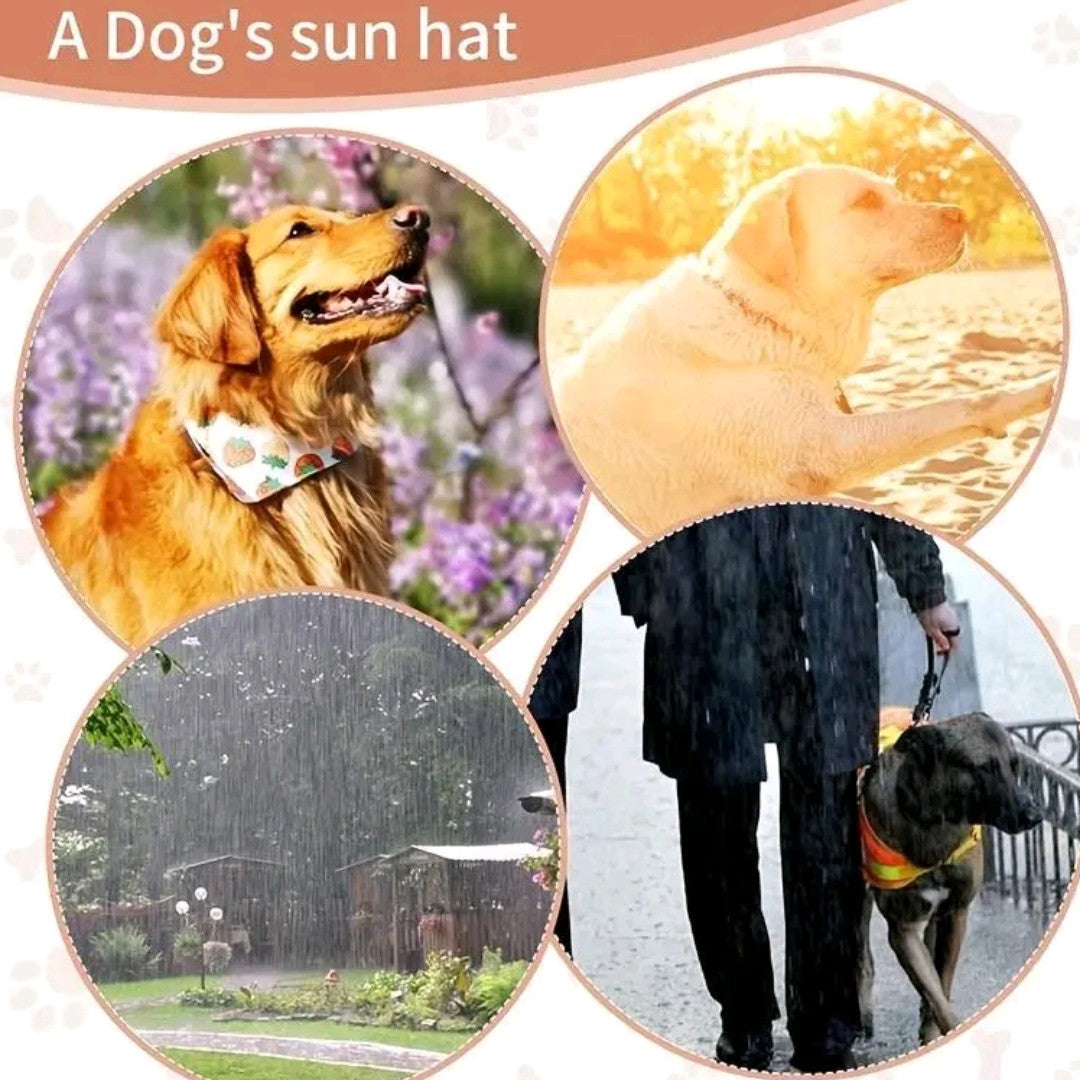 Adjustable Waterproof Pet Visor – UV Protection Hat with Elastic Strap for Small, Medium & Large Dogs, Outdoor Sun Cap