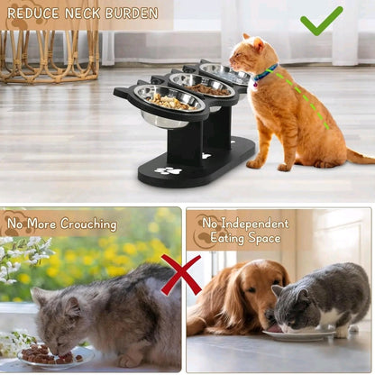 Adjustable Raised Cat Food Bowls – 3 Stainless Steel Elevated Bowls with 15° Black Stand for Indoor Cats
