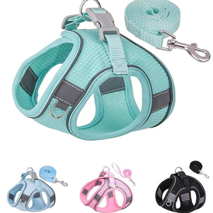 No-Pull Dog/Cat Harness & Leash Set – Step-In Mesh Harness for Small & Medium Dogs/Cat , Easy Control Puppy Vest
