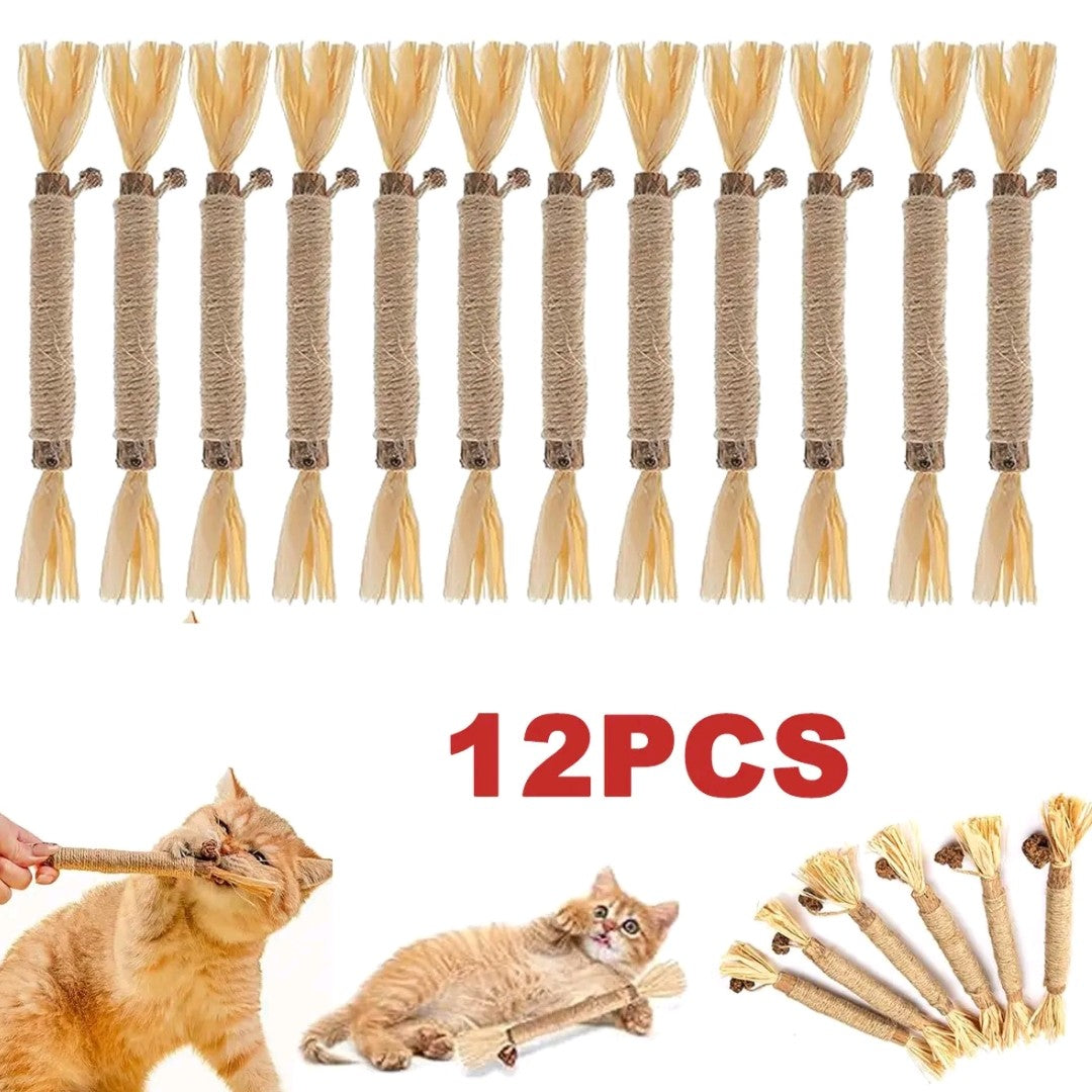 EVERBETTERUS Silvervine Catnip Chew Toys – 12PCS Dental Sticks for Indoor Cats & Kittens – Interactive Teething Toys for Aggressive Chewers