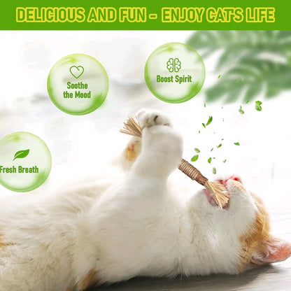 EVERBETTERUS Silvervine Catnip Chew Toys – 12PCS Dental Sticks for Indoor Cats & Kittens – Interactive Teething Toys for Aggressive Chewers