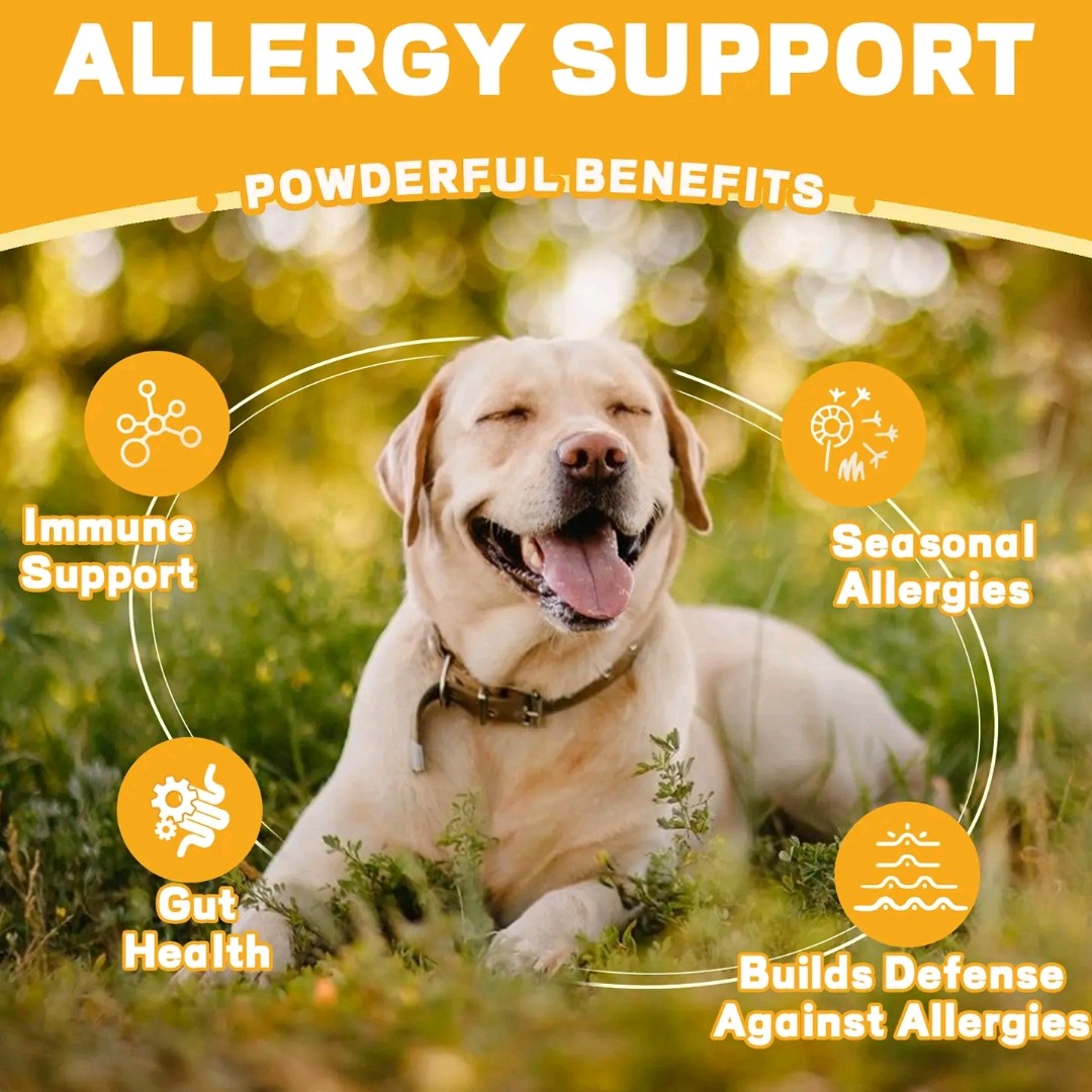 Chicken-Flavored Soft Chews with Omega 3 & Probiotics – Anti-Itch & Digestive Support for All Dogs – 120 Count
