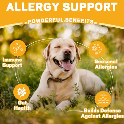 Chicken-Flavored Soft Chews with Omega 3 & Probiotics – Anti-Itch & Digestive Support for All Dogs – 120 Count