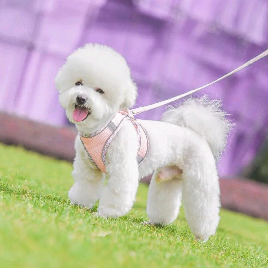 No-Pull Dog/Cat Harness & Leash Set – Step-In Mesh Harness for Small & Medium Dogs/Cat , Easy Control Puppy Vest