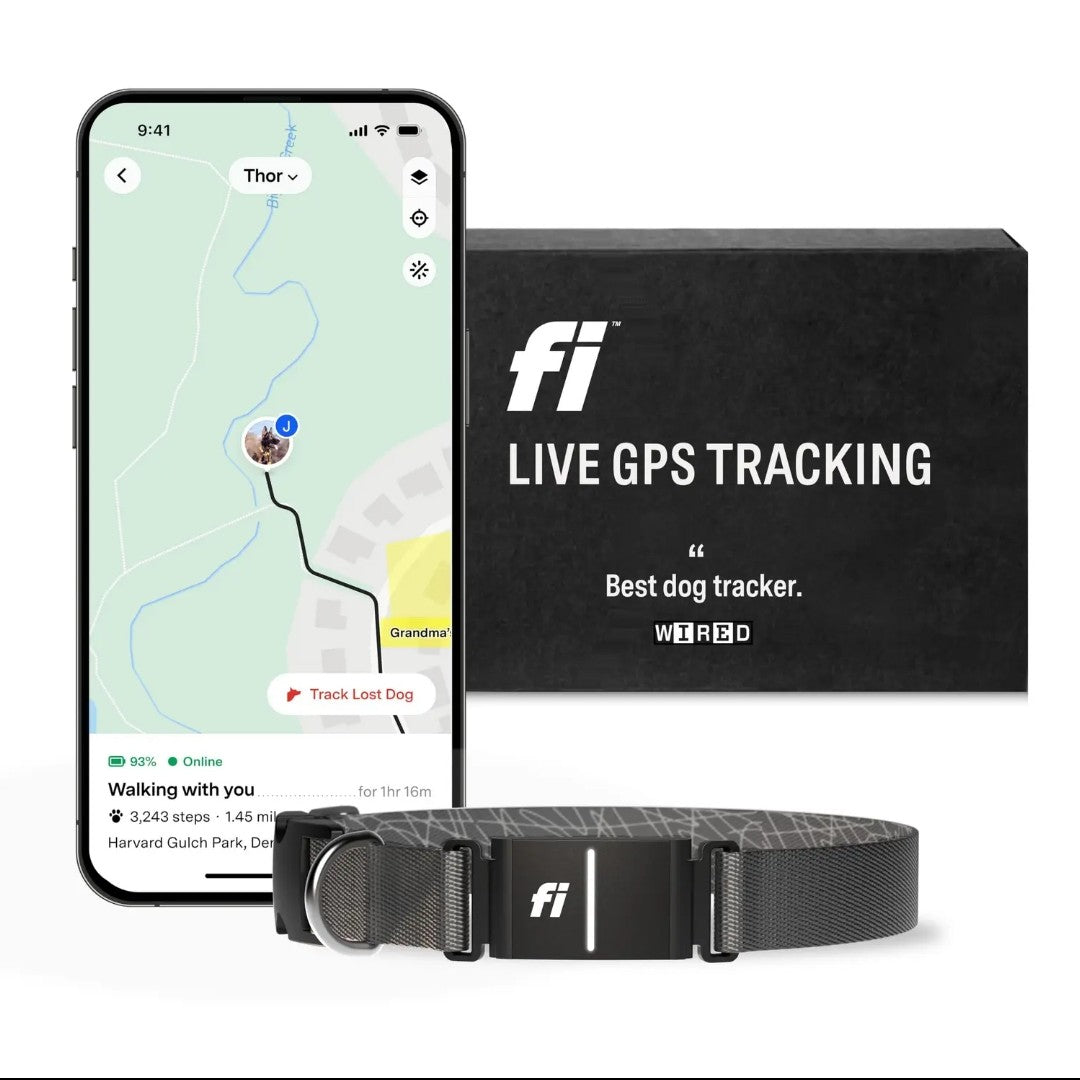 Fi Series 3 Smart pet Collar – GPS Tracker, Health Monitor & LED Light