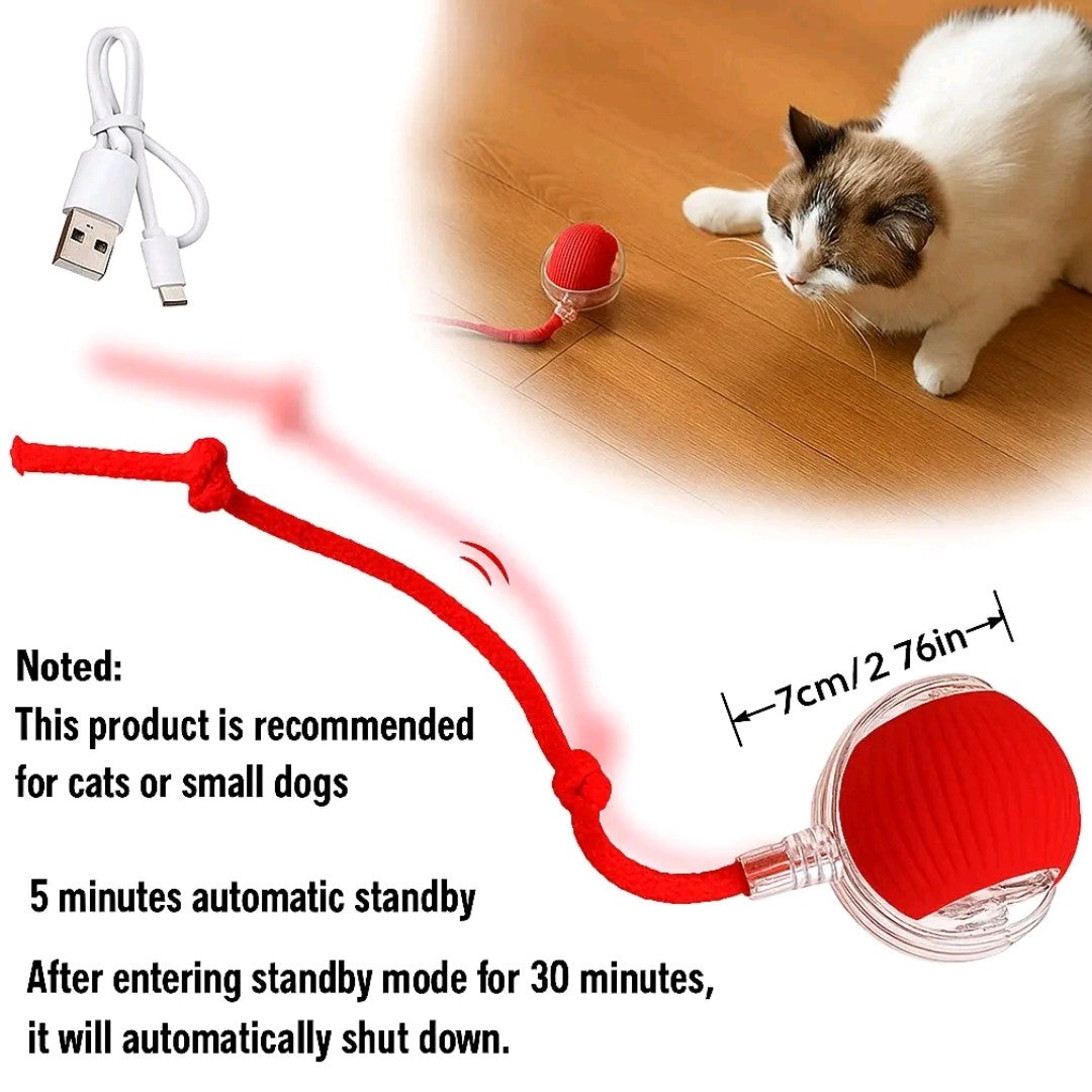 Interactive Rolling Ball Toy for Cats & Dogs – Teaser Toy with 2 Attachments, Washable & Fun Pet Accessory
