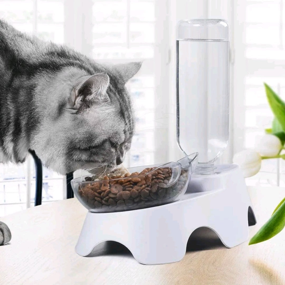 2-in-1 Double Dog & Cat Bowls – 15° Tilted Food & Water Bowl Set with Automatic Water Dispenser for Small & Medium Pets