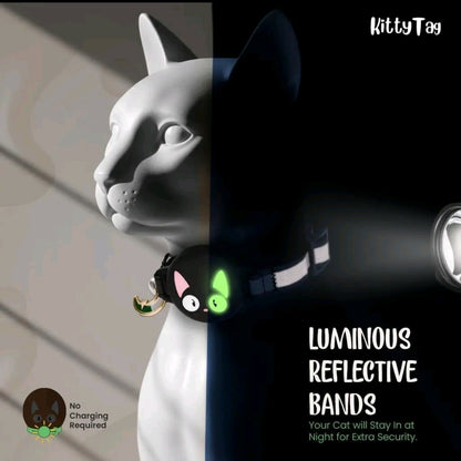 Waterproof GPS Cat Collar – Reflective Fish Design, Hidden Tracker & Lightweight Fit for Kittens