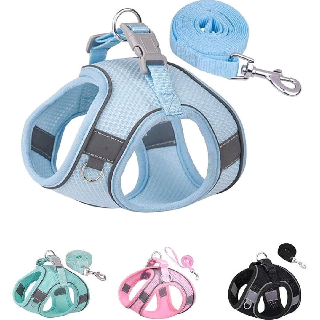 No-Pull Dog/Cat Harness & Leash Set – Step-In Mesh Harness for Small & Medium Dogs/Cat , Easy Control Puppy Vest