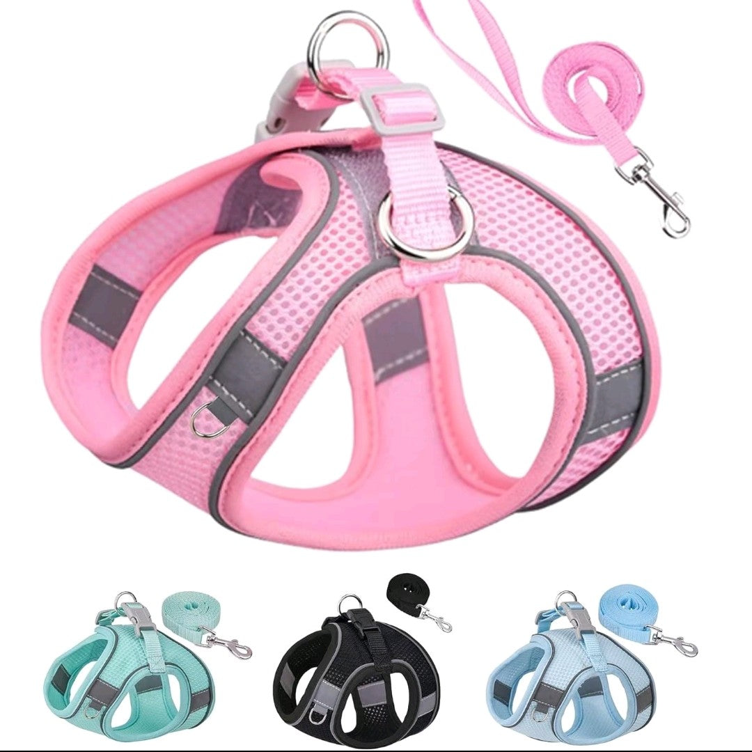 No-Pull Dog/Cat Harness & Leash Set – Step-In Mesh Harness for Small & Medium Dogs/Cat , Easy Control Puppy Vest