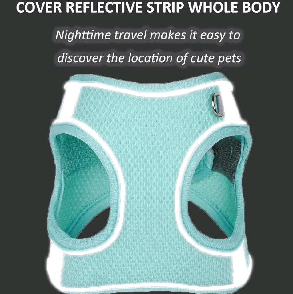 No-Pull Dog/Cat Harness & Leash Set – Step-In Mesh Harness for Small & Medium Dogs/Cat , Easy Control Puppy Vest