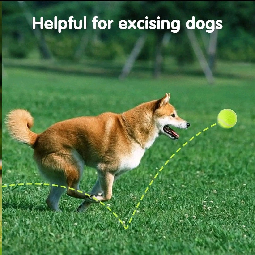 Automatic Dog Ball Launcher – Interactive Pet Toy with 3 Launch Distances, Includes 3 Mini 2” Tennis Balls for Small & Medium Dogs, Indoor & Outdoor Play