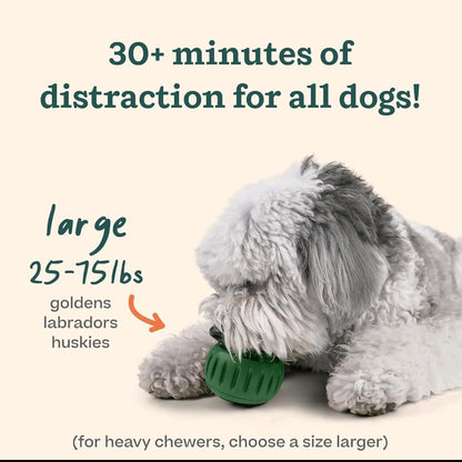 The Pupsicle – Interactive Treat Toy for Dogs