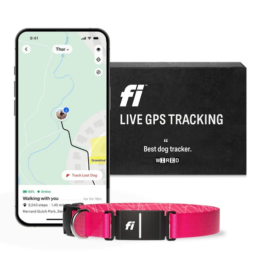 Fi Series 3 Smart pet Collar – GPS Tracker, Health Monitor & LED Light