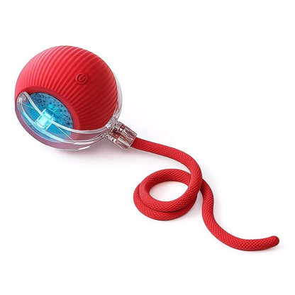 Interactive Rolling Ball Toy for Cats & Dogs – Teaser Toy with 2 Attachments, Washable & Fun Pet Accessory