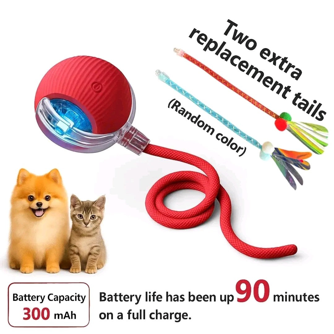 Interactive Rolling Ball Toy for Cats & Dogs – Teaser Toy with 2 Attachments, Washable & Fun Pet Accessory