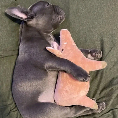 Cute Pig Plush Pet Toy – Bite-Resistant Interactive Chew Toy for Dogs & Cats, Soft Squeaky Animal Toy for Small to Medium Pets